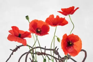 World War One