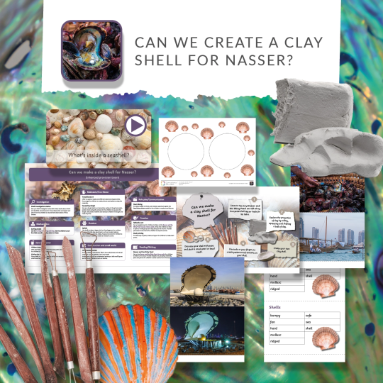 STEAM curriculum projects