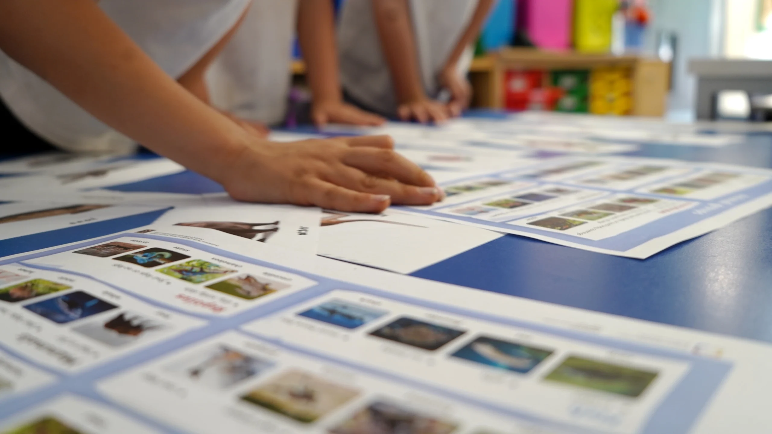 Our Primary Curriculum