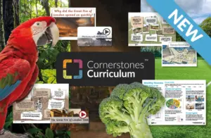 A future-ready curriculum for primary schools