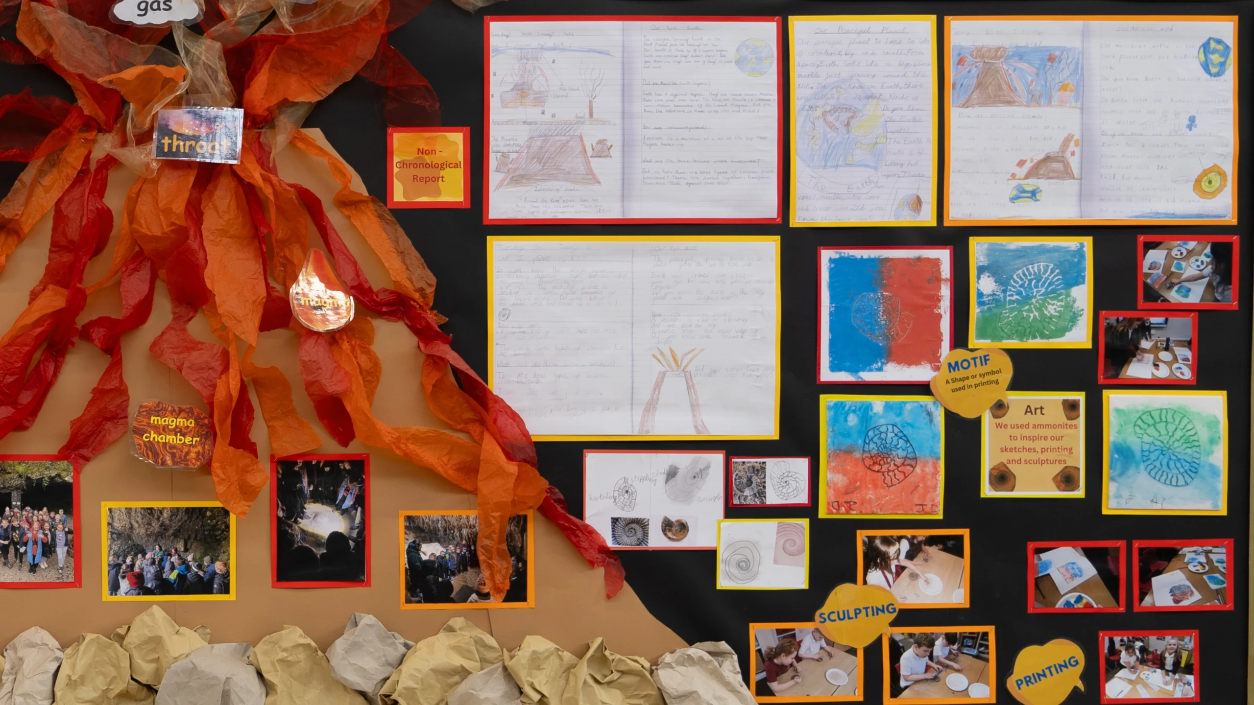 Single subject curriculums