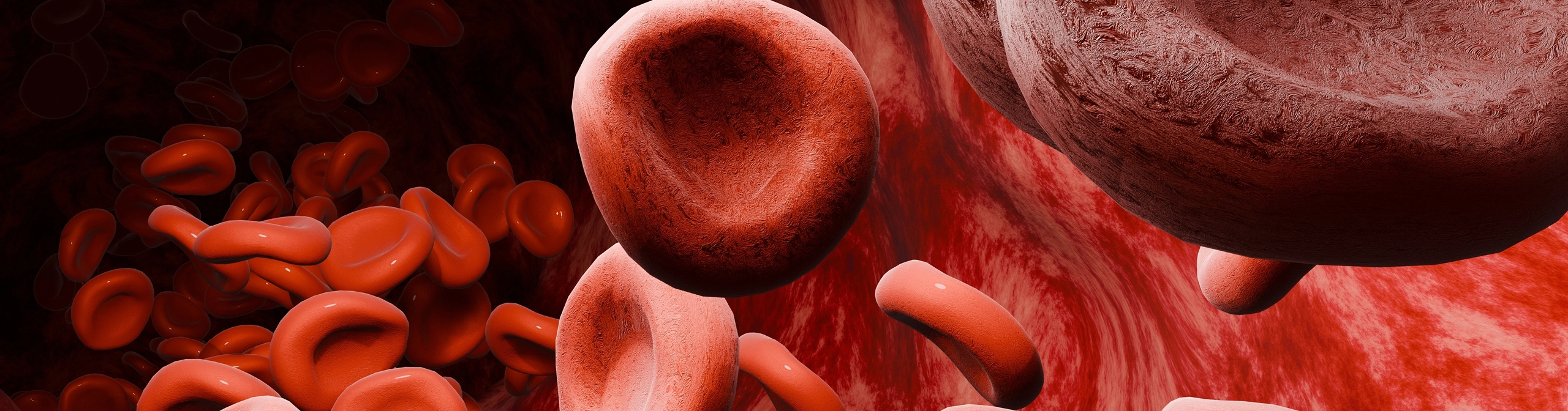 Blood Heart — Cornerstones curriculum project