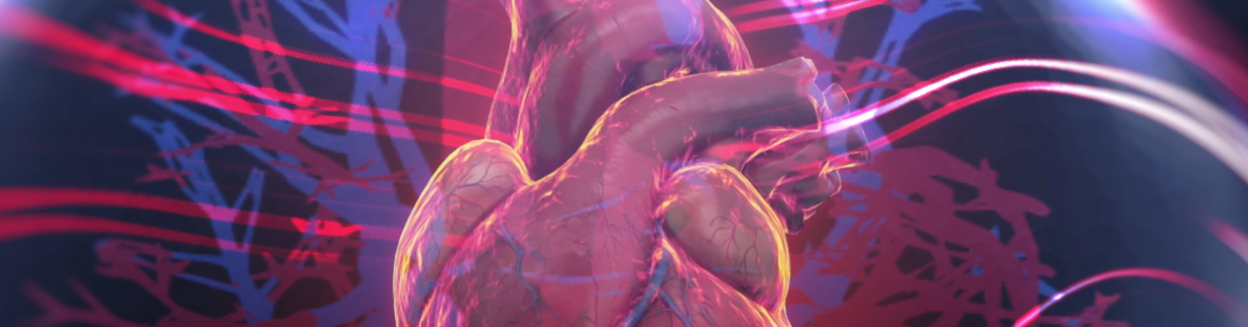 Circulatory System — Cornerstones curriculum project