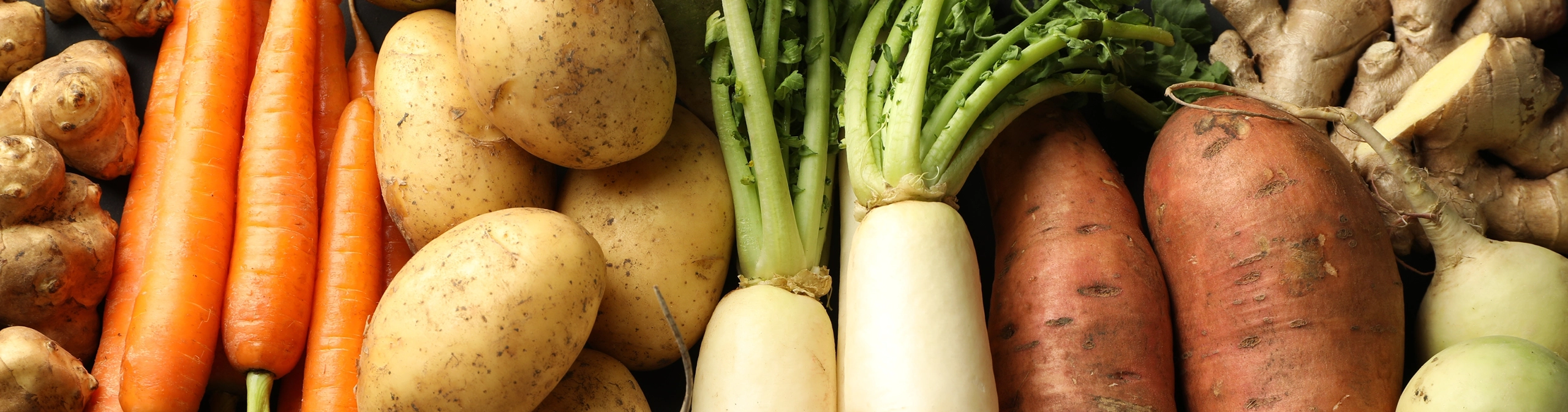 Eat the Seasons — Cornerstones curriculum project