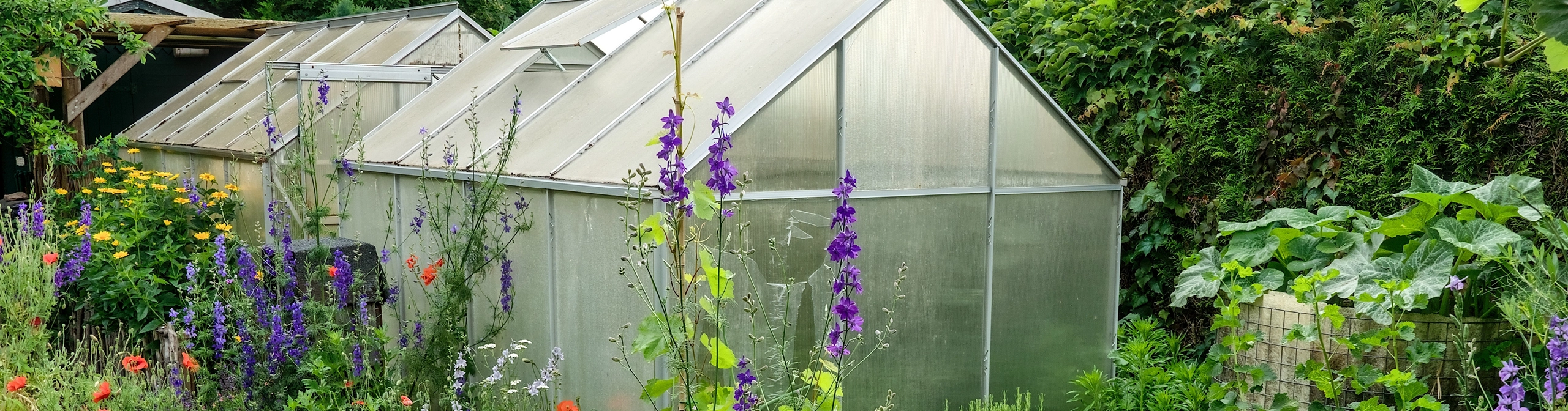 Greenhouse — Cornerstones curriculum project