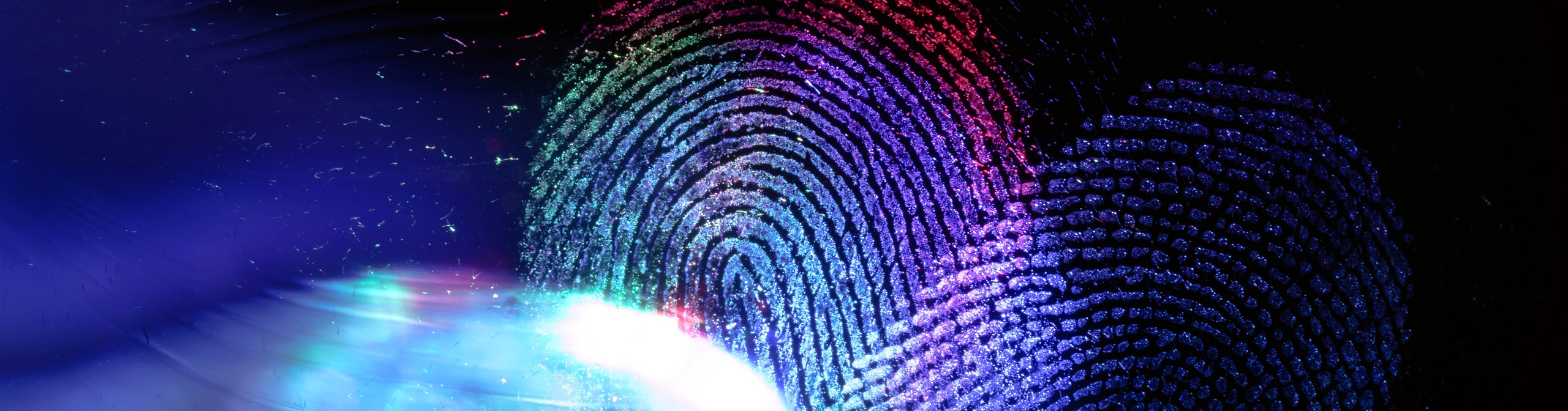 ID — Cornerstones curriculum project