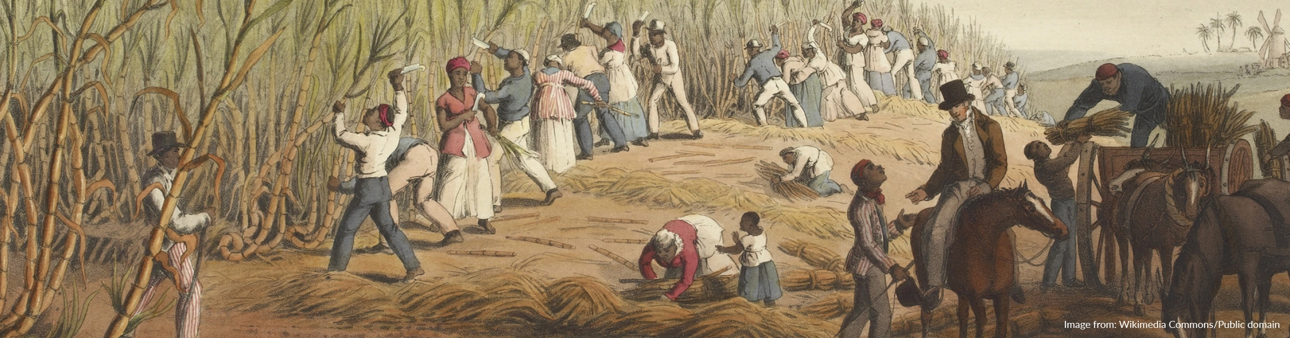 Maafa — Cornerstones curriculum project