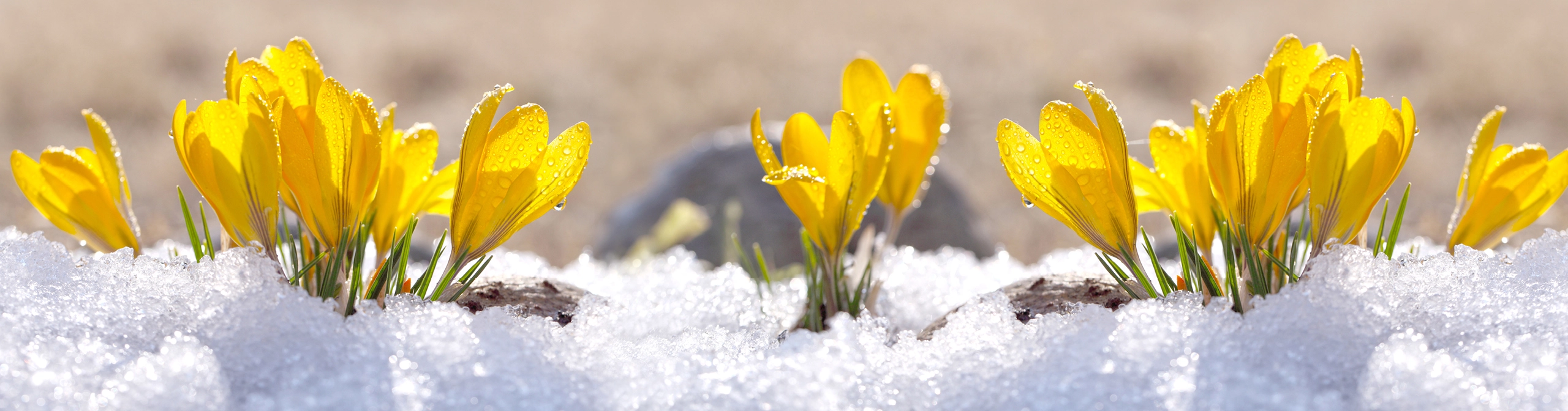 Seasonal Changes — Cornerstones curriculum project
