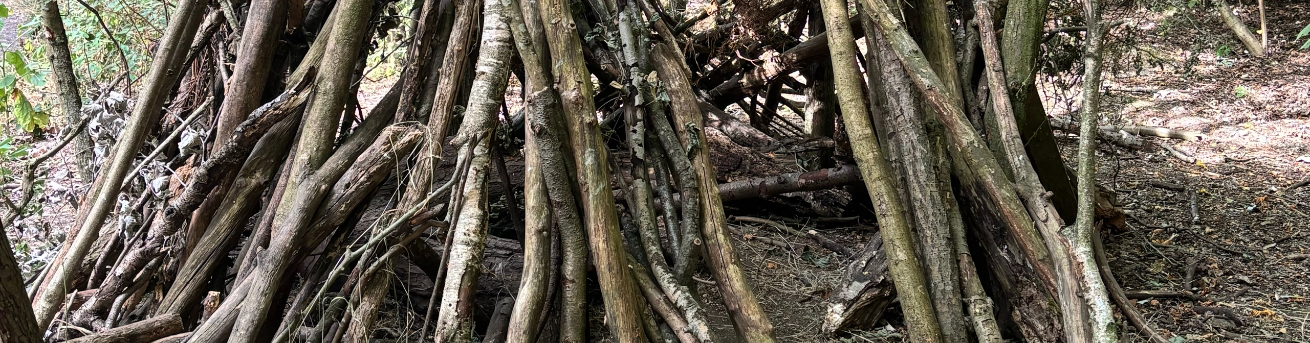 Shade and Shelter — Cornerstones curriculum project