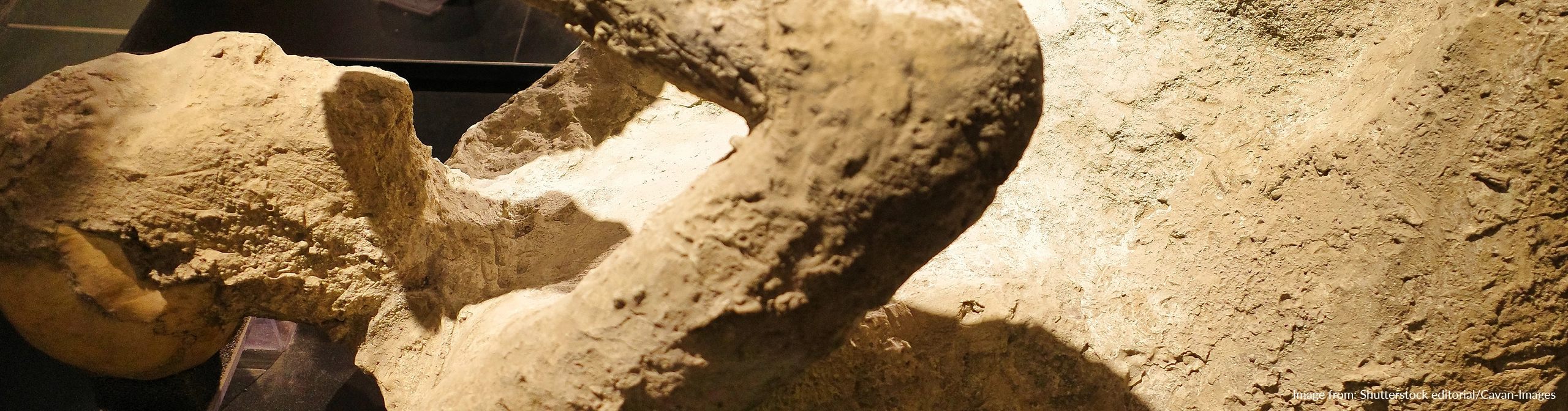 Tremors — Cornerstones curriculum project
