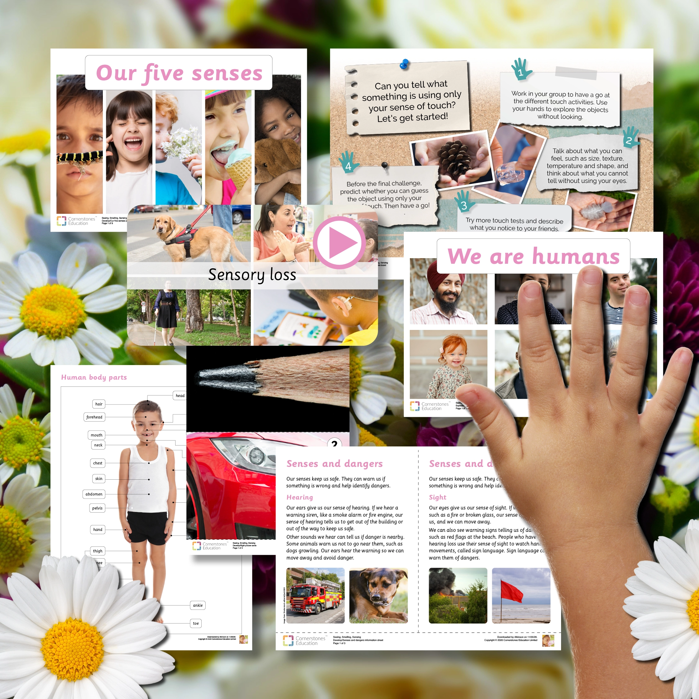Seeing, Smelling, Sensing resources