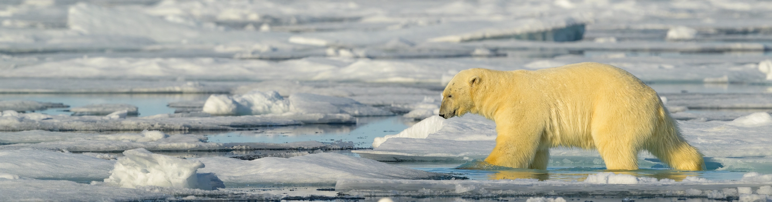 Climate and climate change (KS2)
