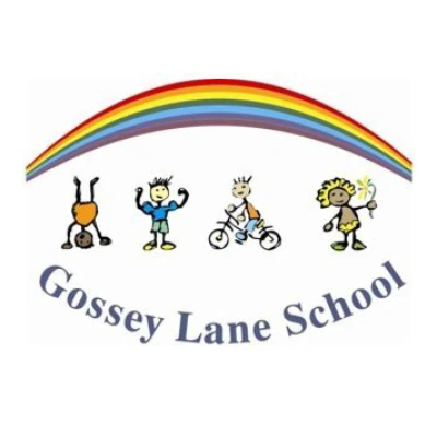 Gossey Lane Academy