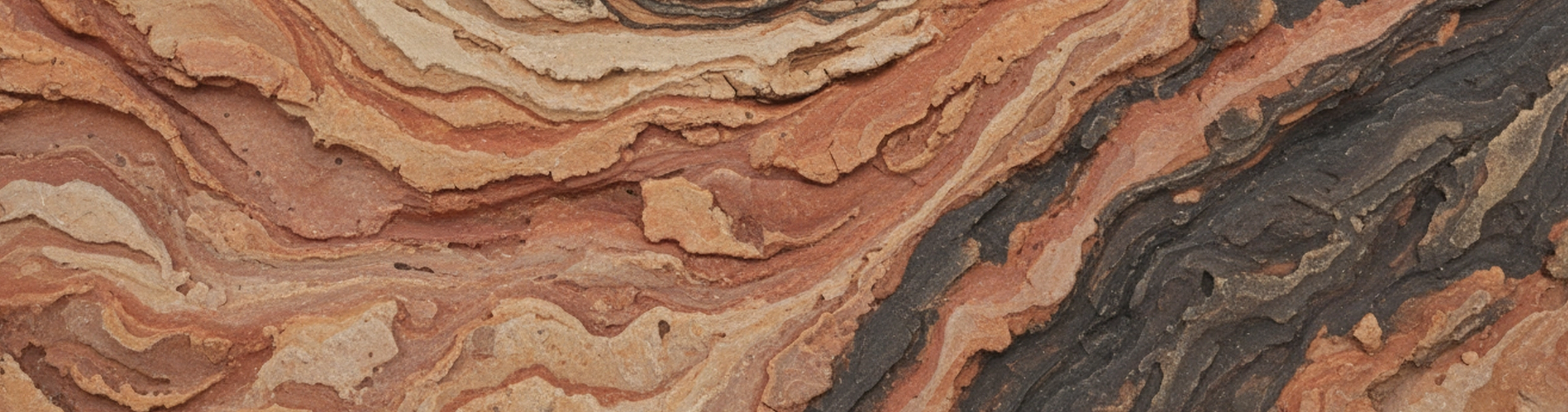 Rocks (Y3)