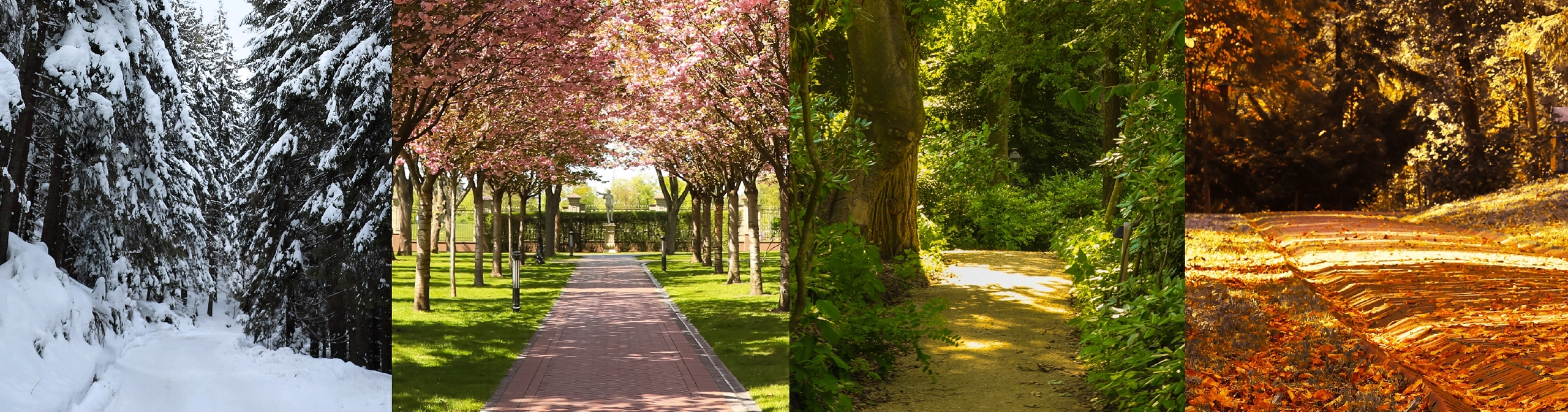 Seasons (KS1)