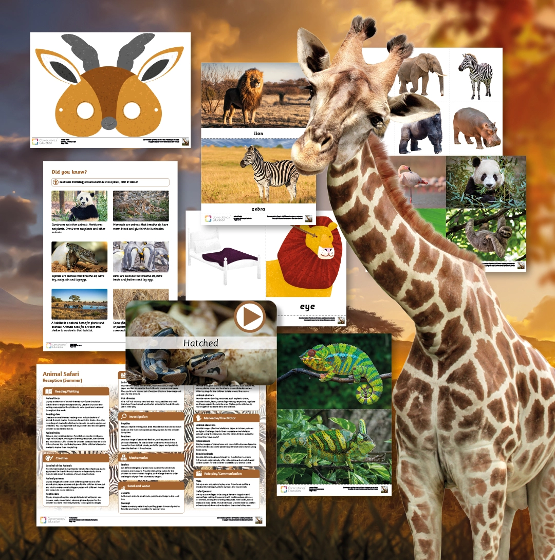 Resources from the Animal Safari project