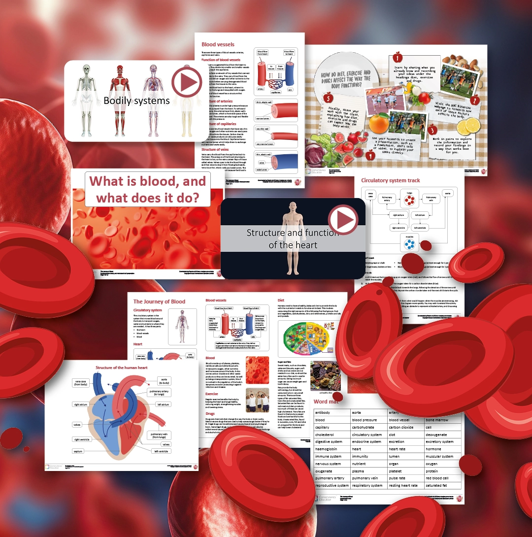 Resources from The Journey of Blood project